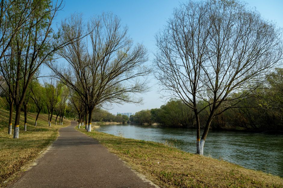 River Path with a calming tea ritual — wellness · Walking & Outdoor