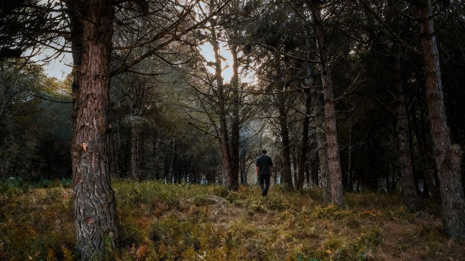 mindful walking & outdoor pauses after a stressful day — wellness · Walking & Outdoor