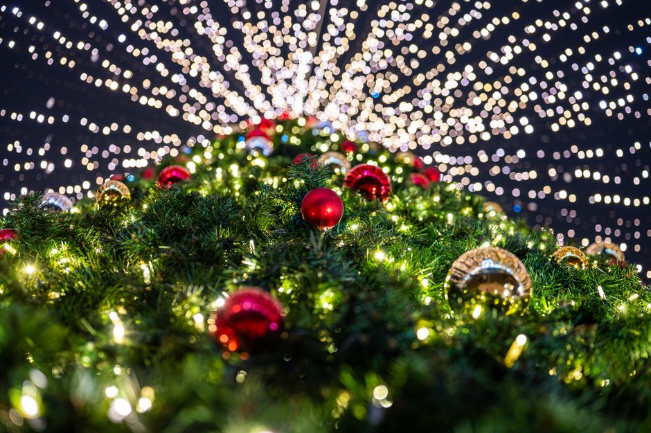 Holiday Trivia Night with an audience-participation moment — entertainment · Trivia