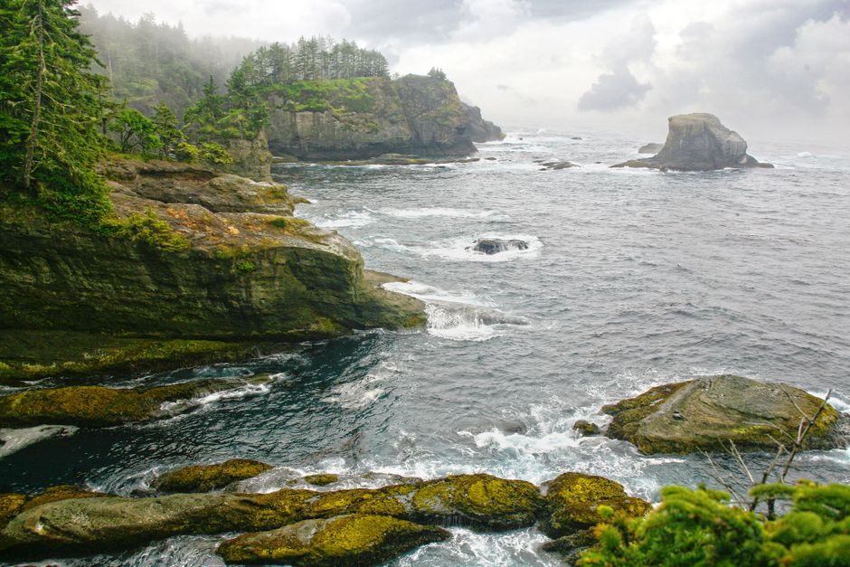 Olympic Peninsula Coast with a local dessert stop — travel · USA Travel