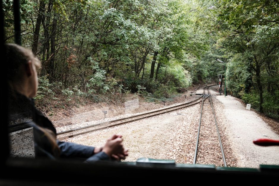 Train Ride with a photo-friendly pause — travel · Family Travel