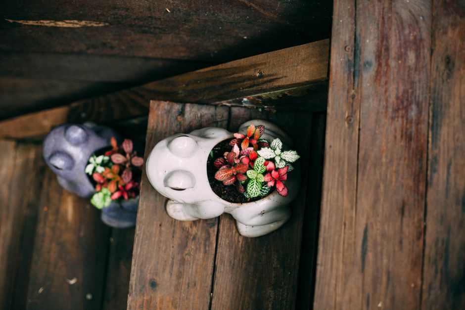 Drawer Planter with a layered-paper effect — diy-creativity · Upcycling