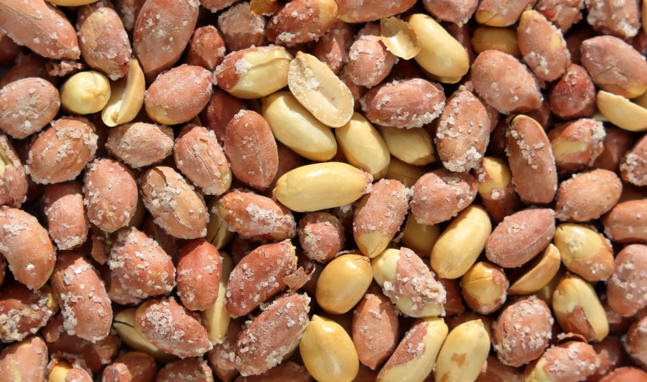Peanut Butter Energy Bites with parmesan crunch — food · Snacks