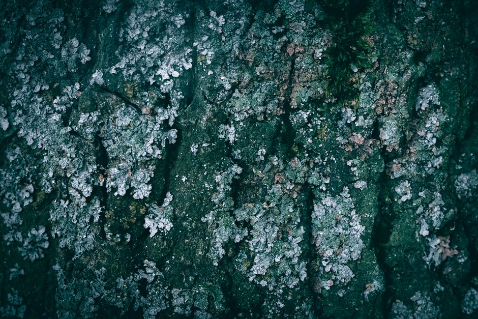 Texture Close-Up with a tactile texture — diy-creativity · Photography