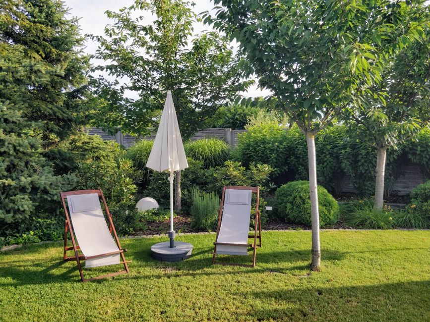 before-and-after garden & outdoor changes worth trying with a soft curved silhouette — home · Garden & Outdoor