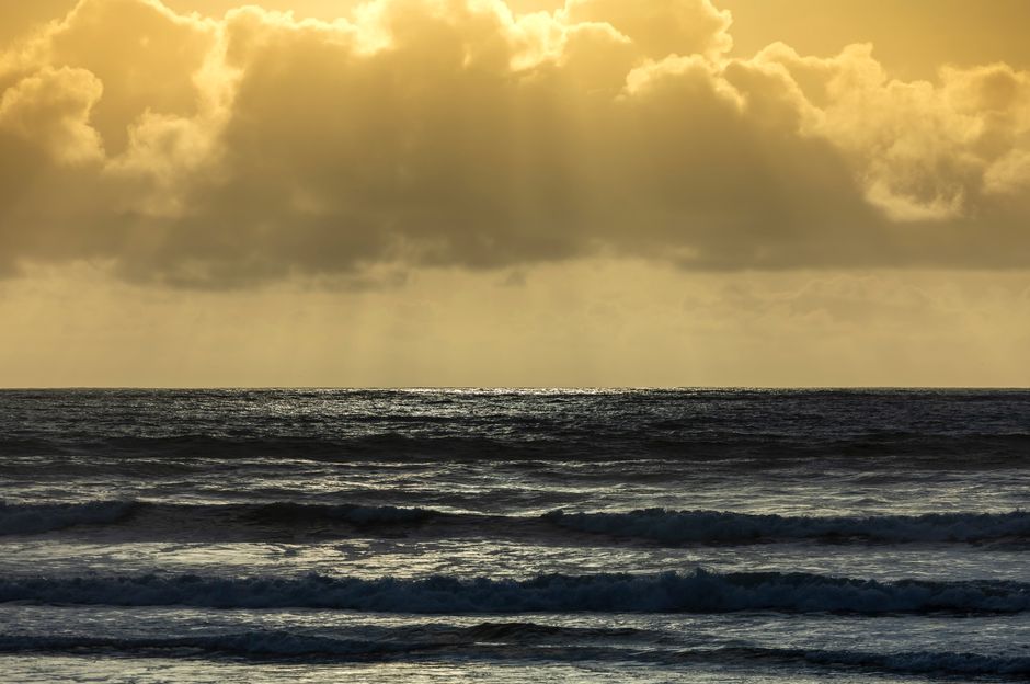 Sunlight Break for a mindful meal — wellness · Healthy Habits