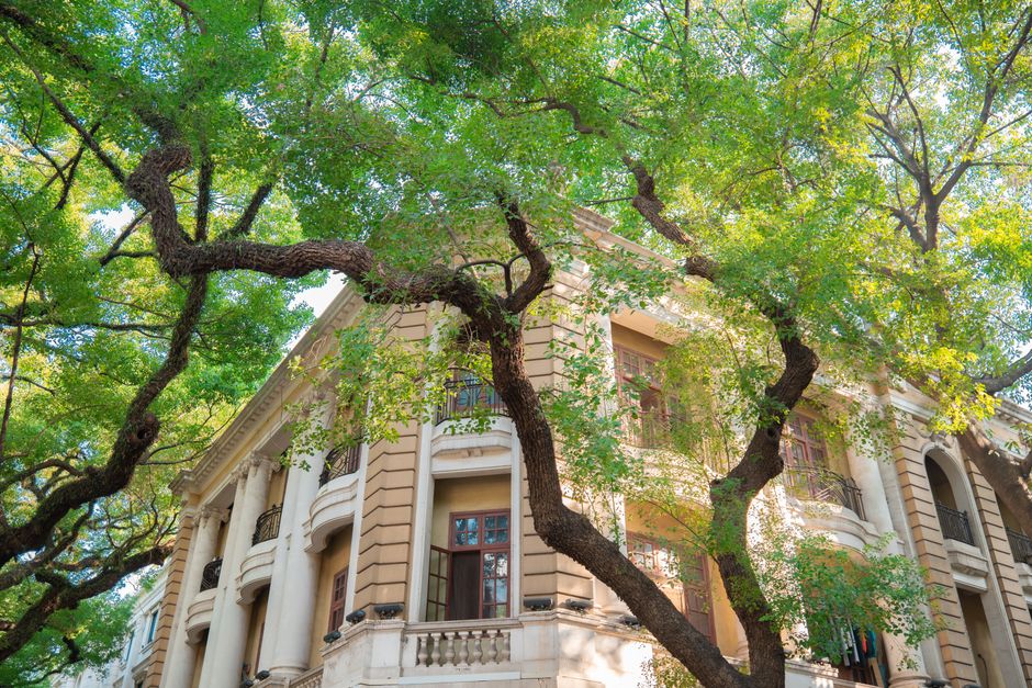 New Orleans Garden District for travelers avoiding crowds — travel · USA Travel