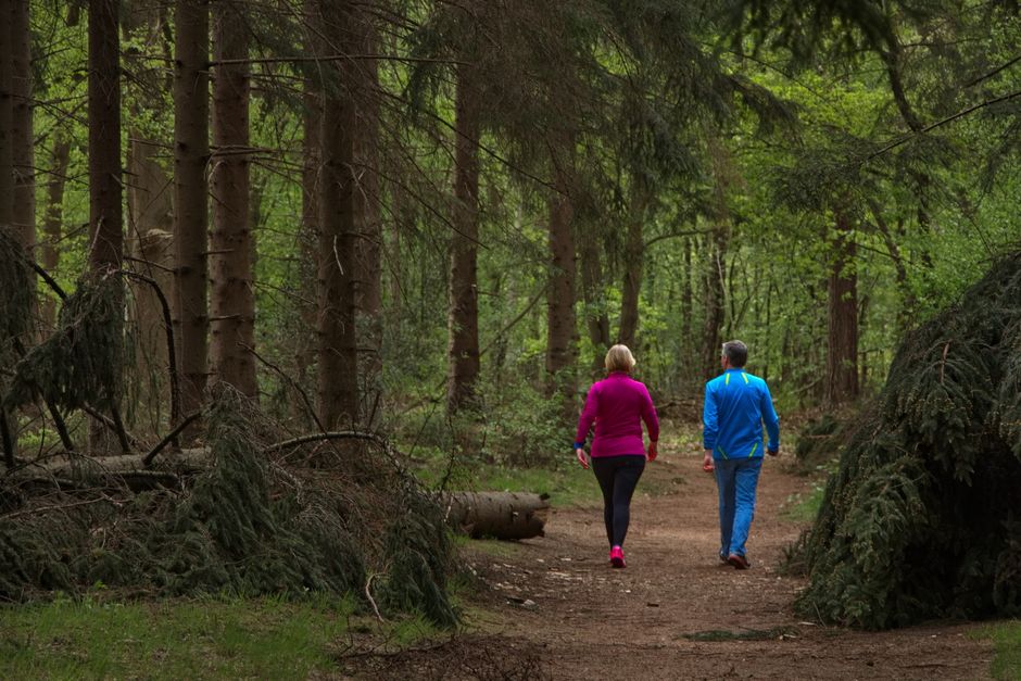 Future-Plans Walk with a five-minute start — lifestyle · Relationships