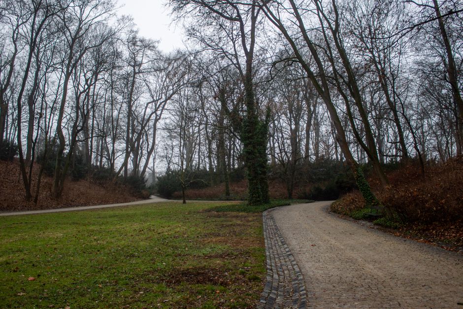 Park Loop during a quiet evening — wellness · Walking & Outdoor