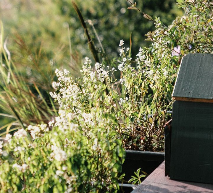 before-and-after garden & outdoor changes worth trying with hidden everyday storage — home · Garden & Outdoor