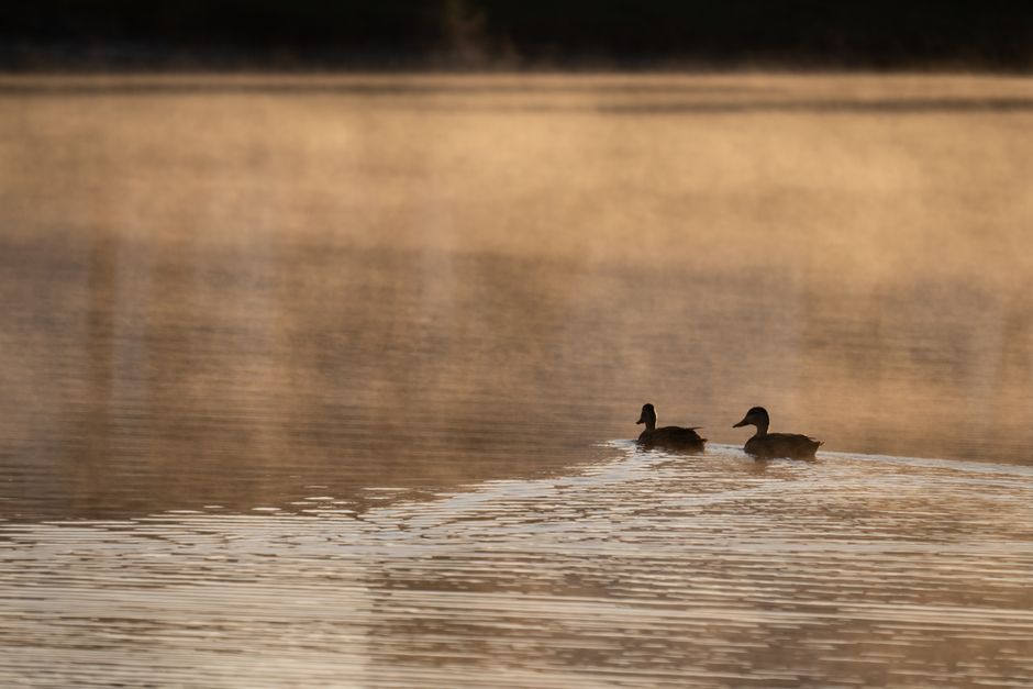 Two-List Morning for a better work-life boundary — lifestyle · Productivity