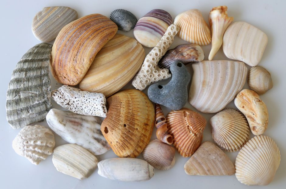 Beach Treasure Walk for a two-night escape — travel · Family Travel
