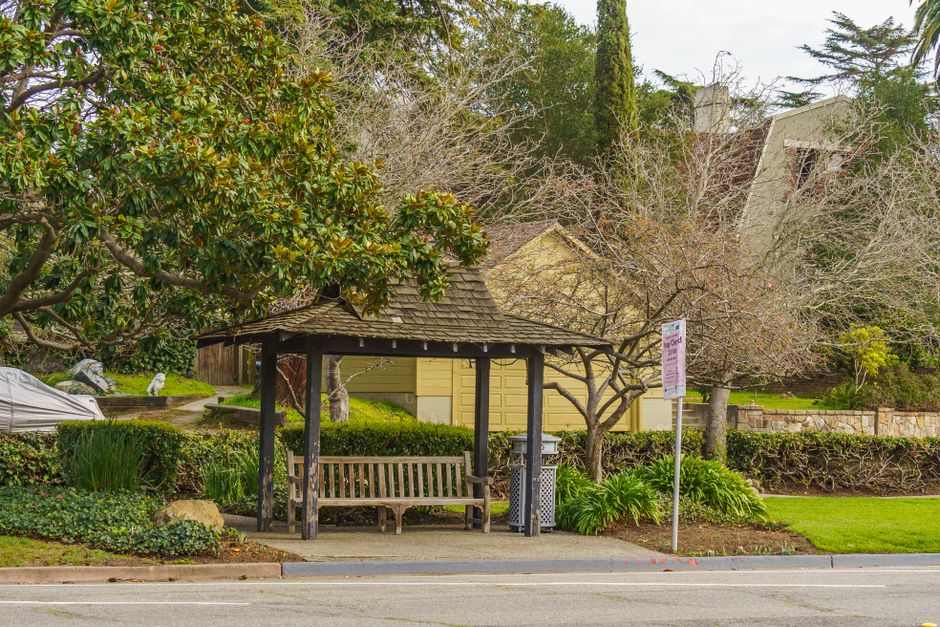 Park Bench Reading Stop at sunrise — travel · Solo Travel