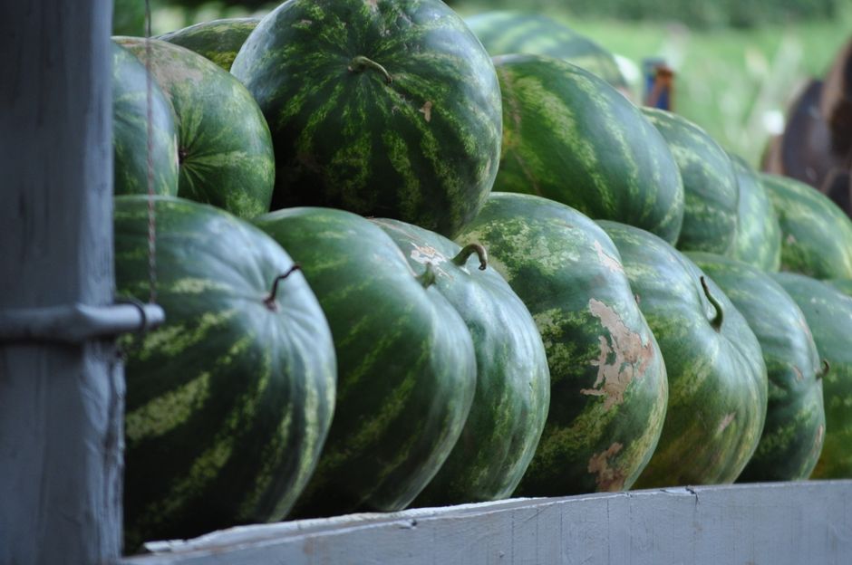 Roadside Farm Stand near a public trail — travel · Road Trips