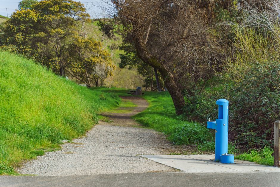 Hydration Station for a peaceful lunch break — wellness · Healthy Lifestyle