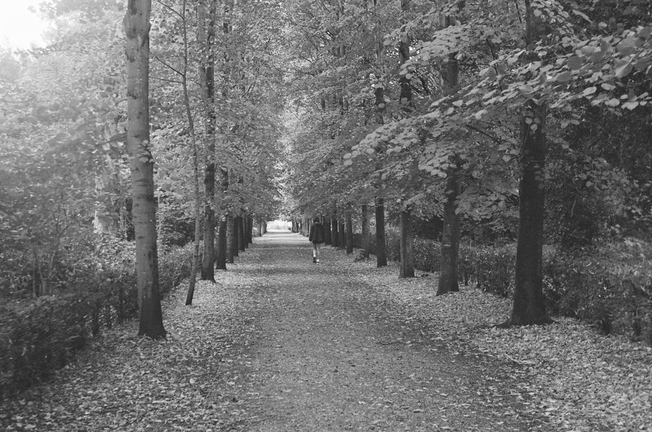 Quiet Walk when motivation is low — lifestyle · Self-Care