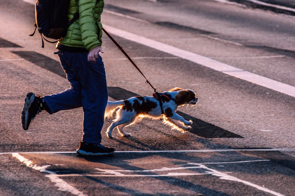 daily walking & outdoor resets that take only a few minutes after a long commute after a long commute — wellness · Walking & Outdoor