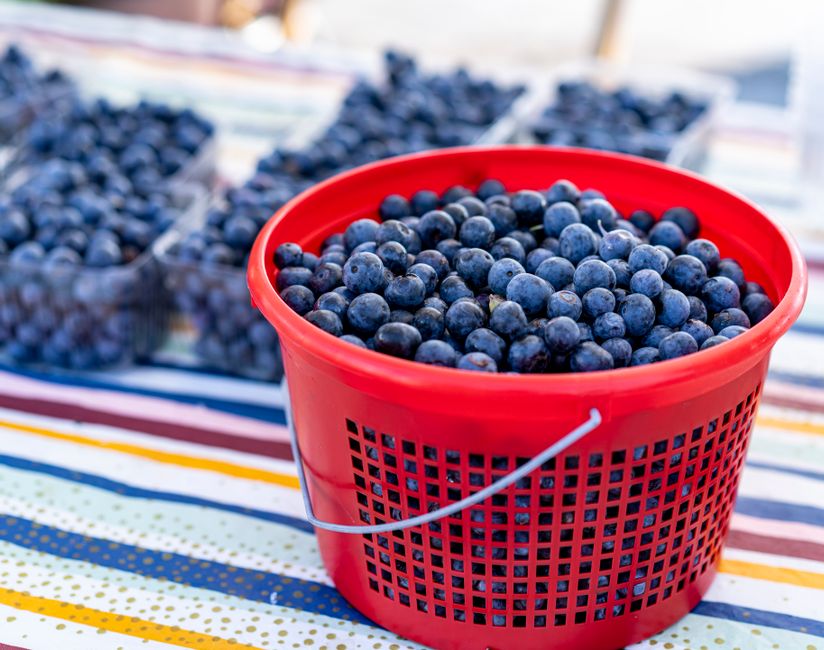 Blueberry Basil Spritz for water hot afternoons — food · Drinks
