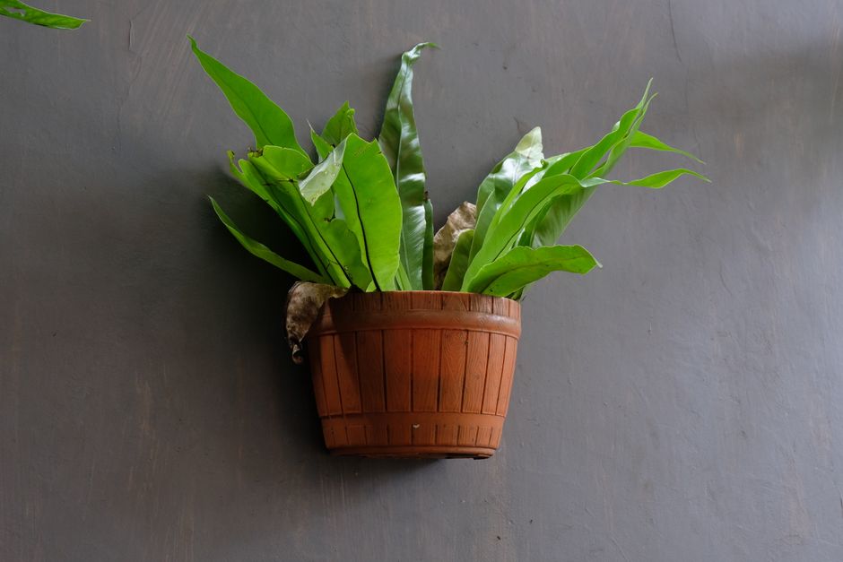 Vertical Planter using one-color repetition — home · Garden & Outdoor
