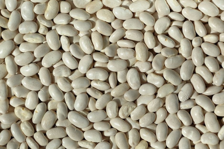 Creamy Tuscan White Beans for family style tables — food · Dinner Ideas