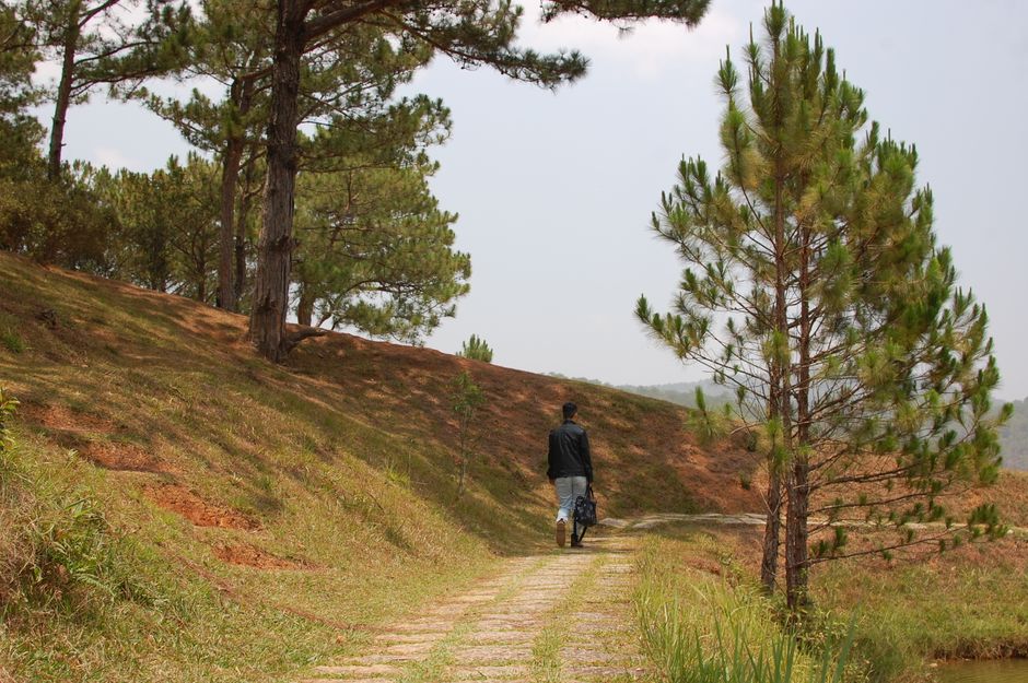 Favorite-Song Walk during a midday reset — wellness · Feel-Good Activities
