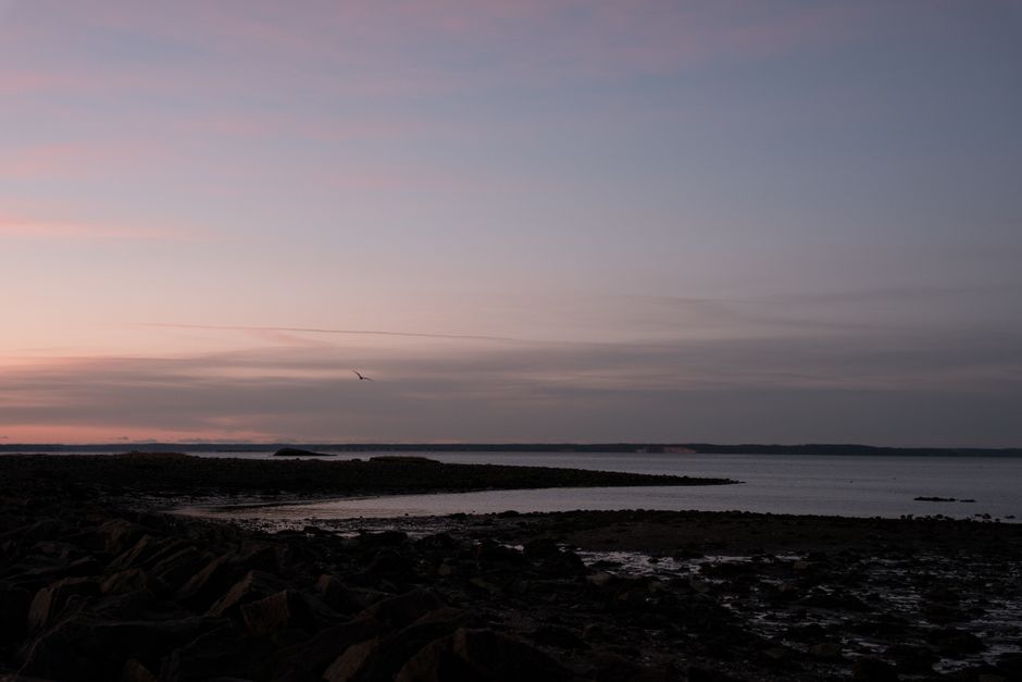 Tide-Pool Morning with a photo-friendly pause — travel · Beach Vacations