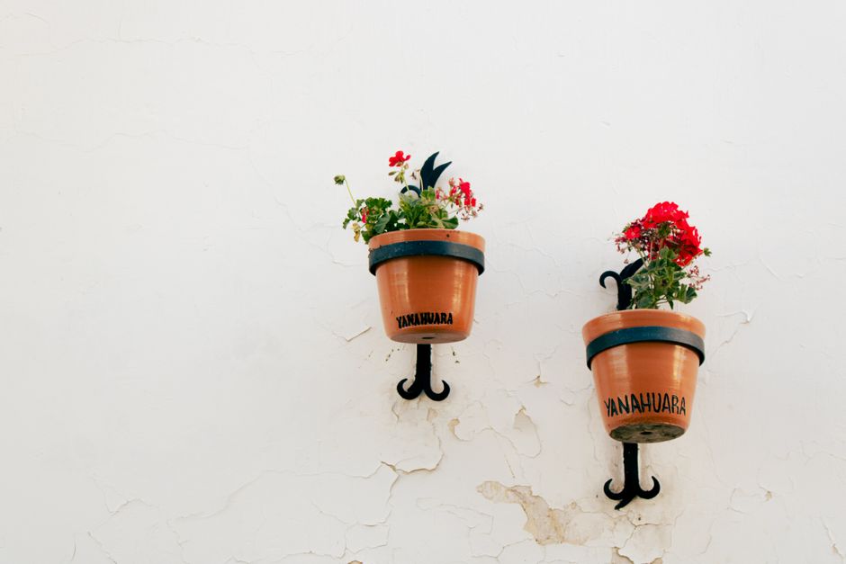 Painted Terracotta Pot using pressed botanicals — diy-creativity · Crafts