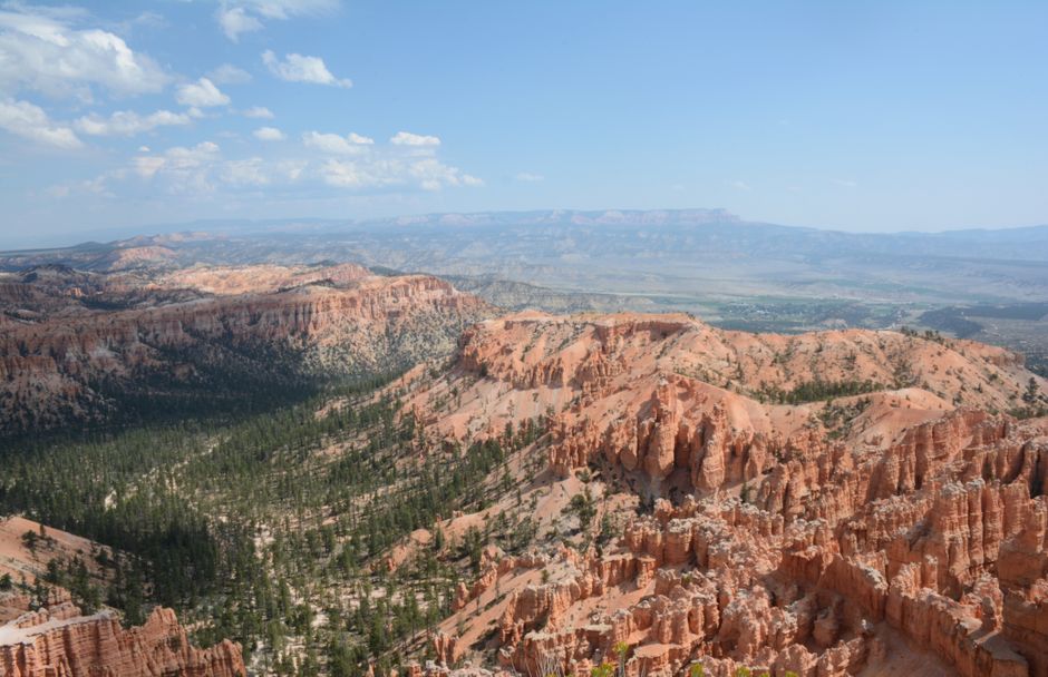 Juniper Overlook around a waterfront walk — travel · National Parks