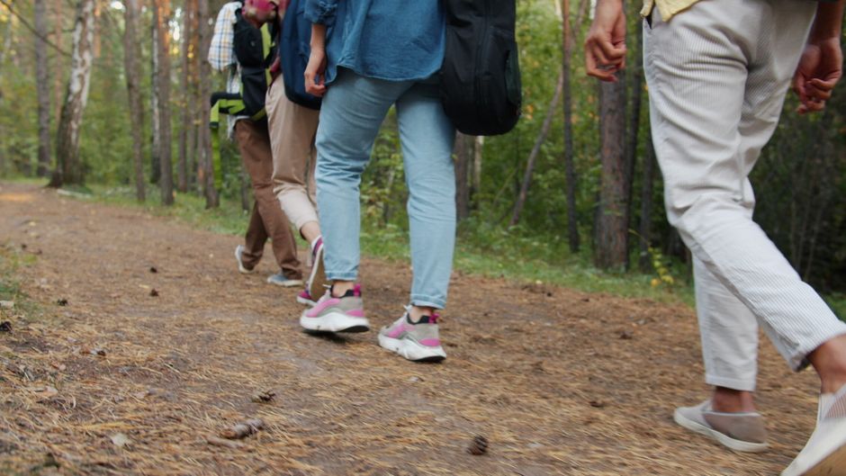 23 movement walking & outdoor breaks that fit into real schedules