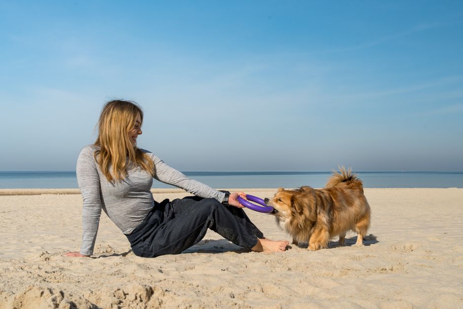 Pet-Play Break with a soothing soundscape — wellness · Feel-Good Activities