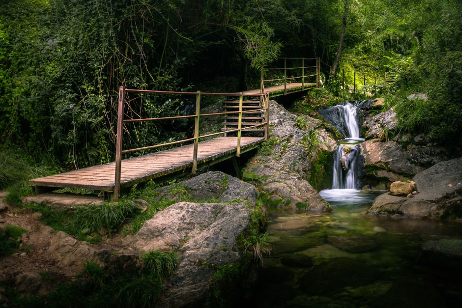Easy Waterfall Trail for a solo afternoon — travel · Family Travel