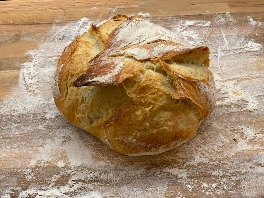New Recipe Trial for a fresh-start Monday — wellness · Feel-Good Activities