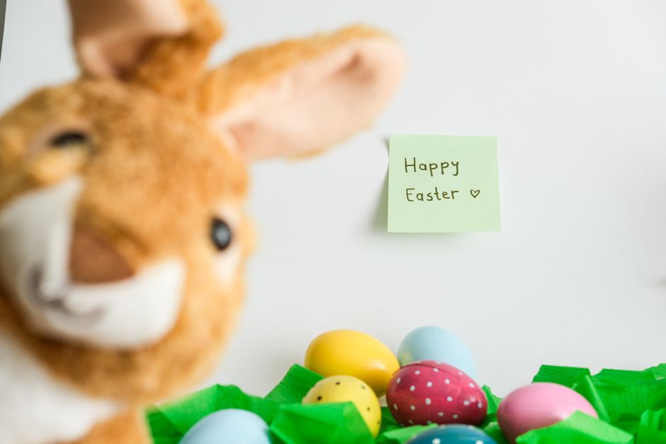 Bunny silhouette menu cards