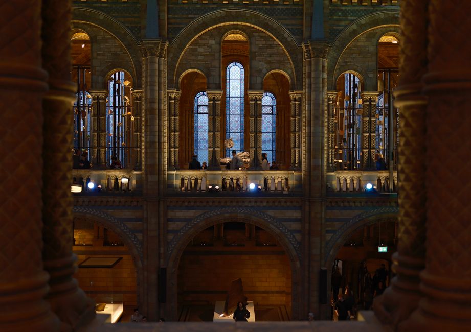Museum After Dark around a quick team challenge — entertainment · Date Nights