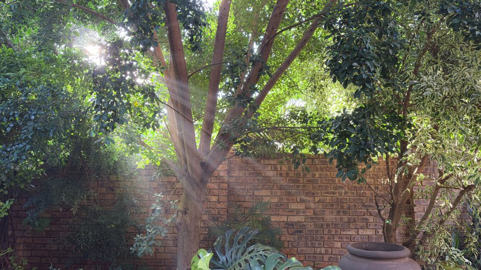 before-and-after garden & outdoor changes worth trying with warm evening lighting — home · Garden & Outdoor