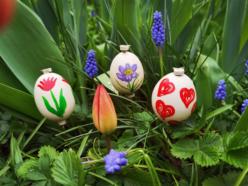 Floral-decal eggs with tulips