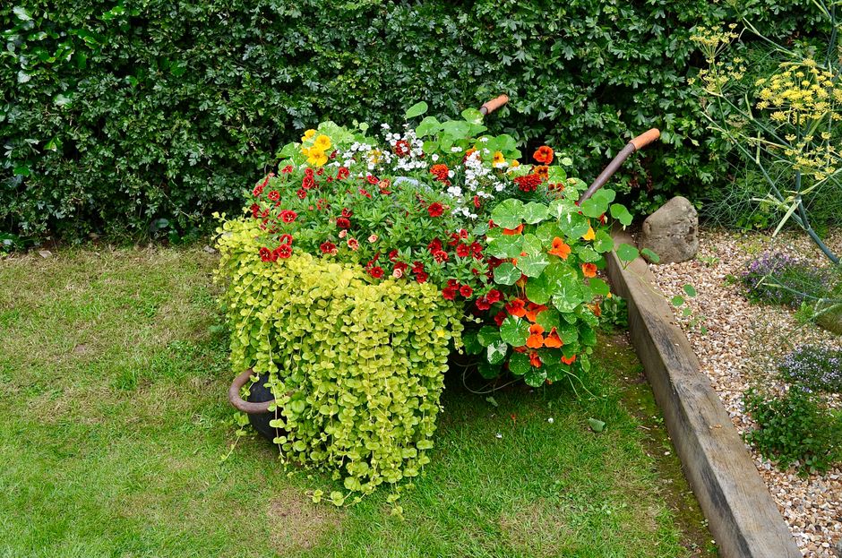 weekend garden & outdoor projects you can actually finish with a clever vertical solution — home · Garden & Outdoor