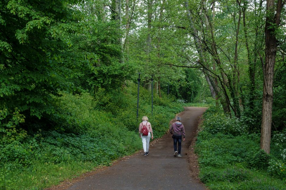 sleep-friendly walking & outdoor habits with a hydration cue — wellness · Walking & Outdoor