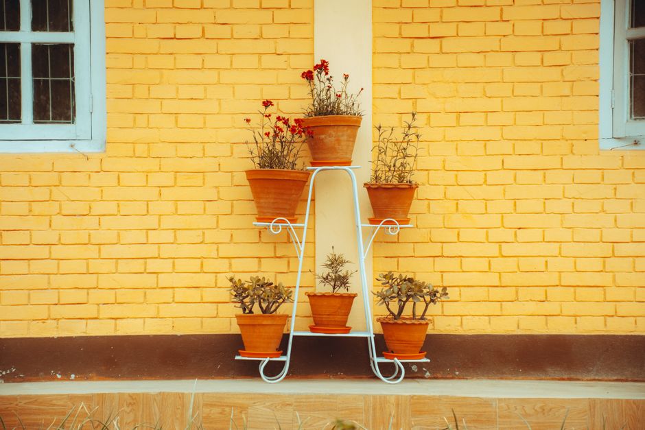 27 Painted Terracotta Pot ideas