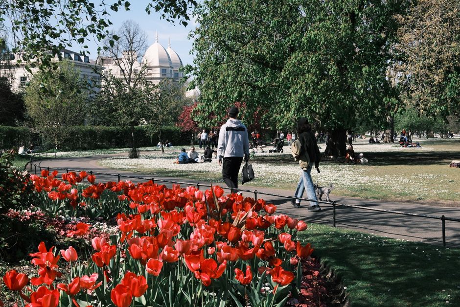 Try A Public Garden for a weekend without rushing — travel · Things to Do