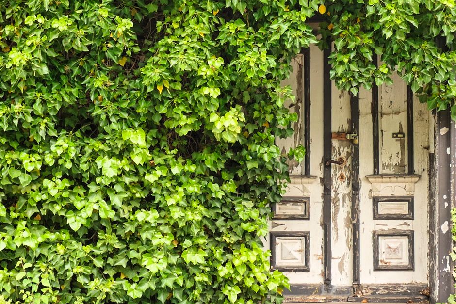 Mindful Doorway Pause for getting outside more — wellness · Mindfulness