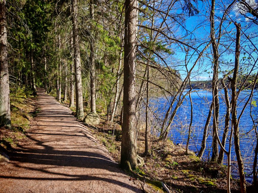 Lake Trail for a rainy-day backup — travel · National Parks