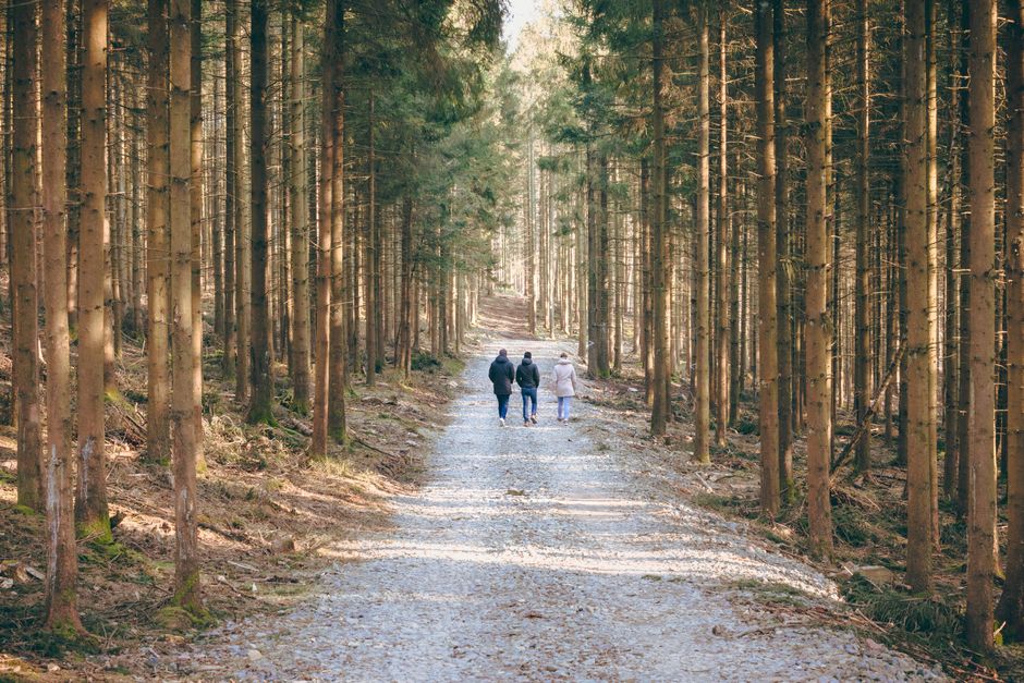 outdoor walking & outdoor rituals that get you into fresh air for a gentle reset — wellness · Walking & Outdoor