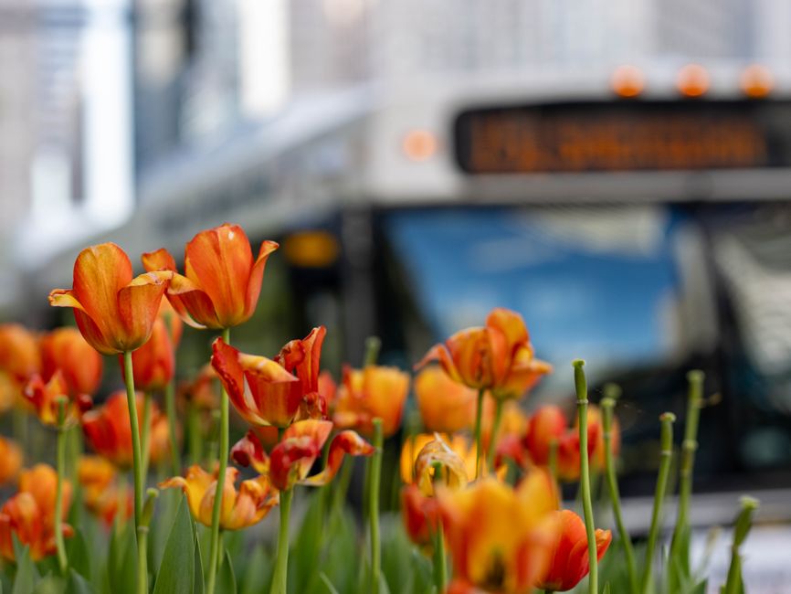 Transit Planner with an emergency backup — smart-life · Apps