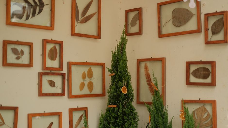Pressed Botanical Frame using thrifted fabric — diy-creativity · Handmade Decor