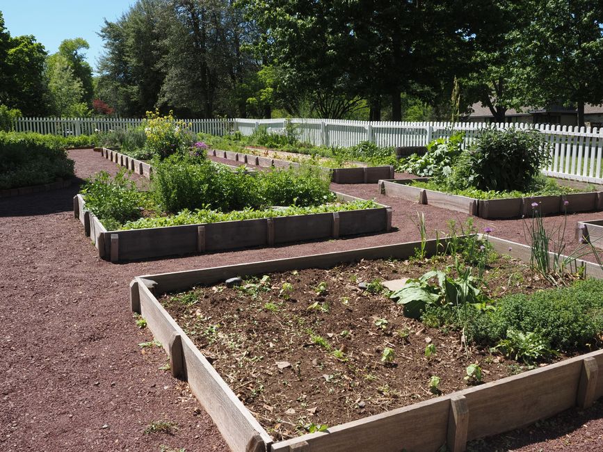 Raised Bed with a clever vertical solution — home · Garden & Outdoor