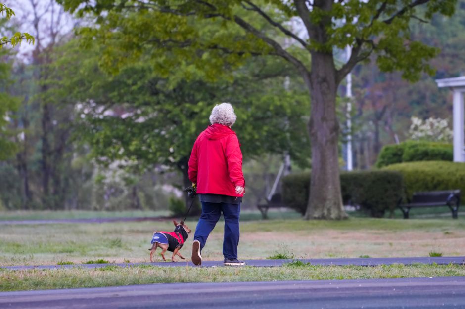 21 daily walking & outdoor resets that take only a few minutes