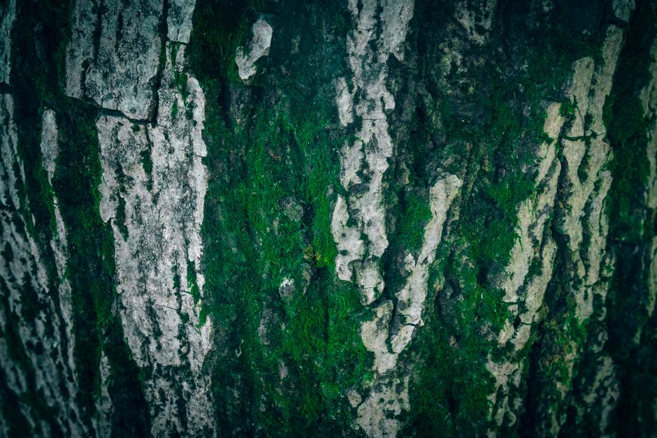 Texture Close-Up for learning new technique — diy-creativity · Photography