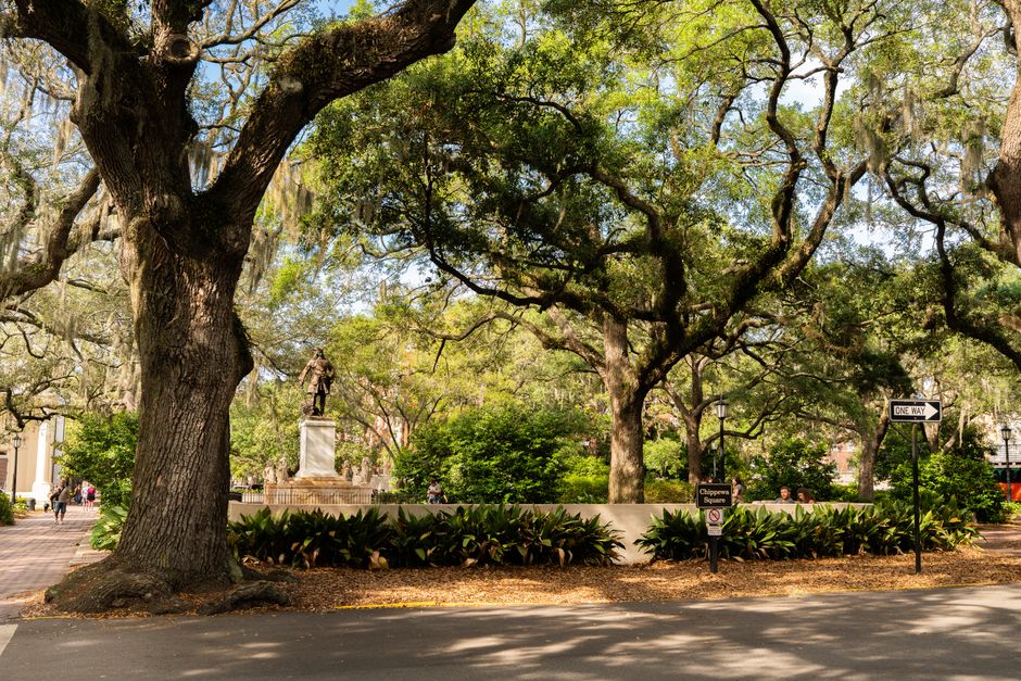 25 Savannah Squares ideas for a memorable first day