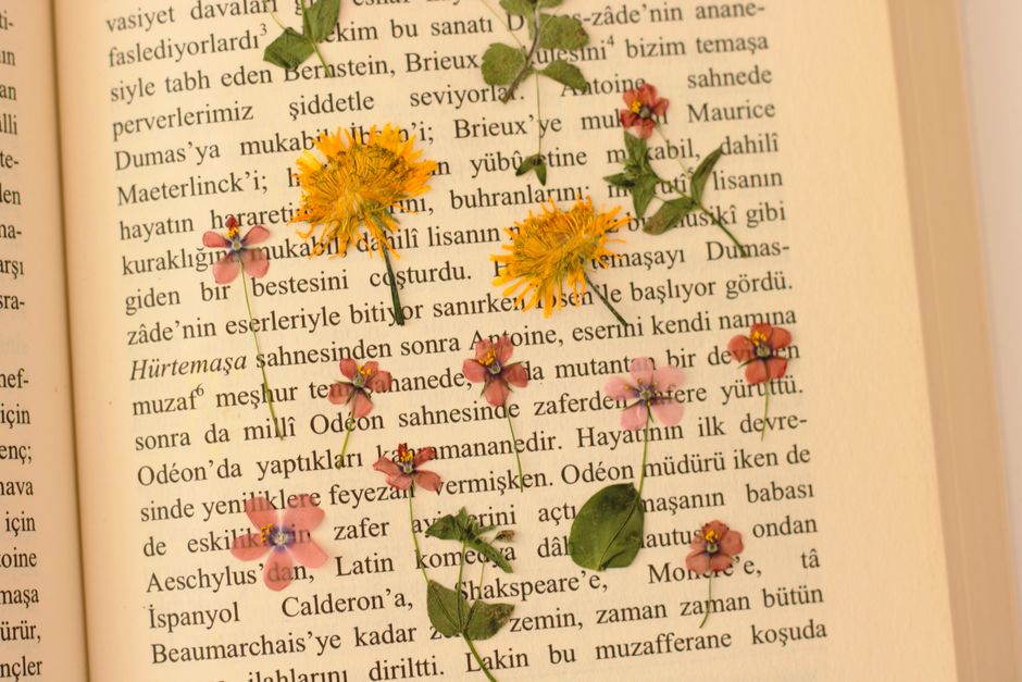 Pressed-Flower Frame using fabric scraps — diy-creativity · DIY Gifts